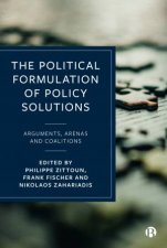 The Political Formulation Of Policy Solutions