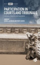 Participation In Courts And Tribunals