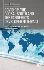 COVID19 The Global South And The Pandemics Development Impact