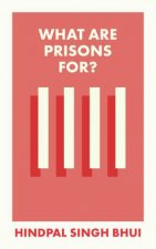 What Are Prisons For