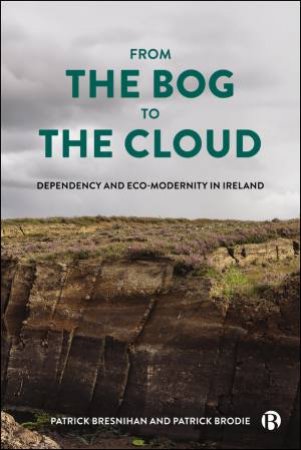 From the Bog to the Cloud by Patrick Bresnihan & Patrick Brodie