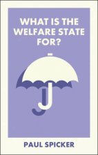 What Is the Welfare State For