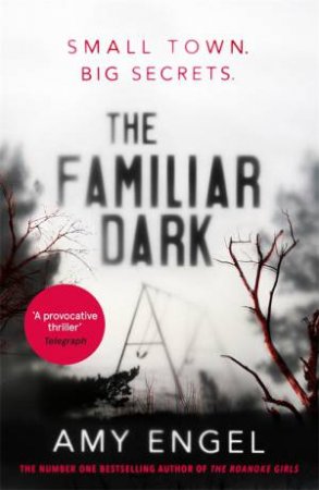 The Familiar Dark by Amy Engel