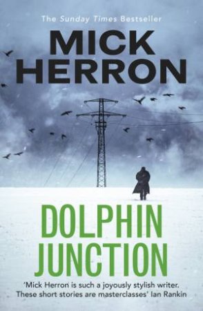Dolphin Junction by Mick Herron