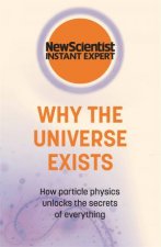 Why The Universe Exists