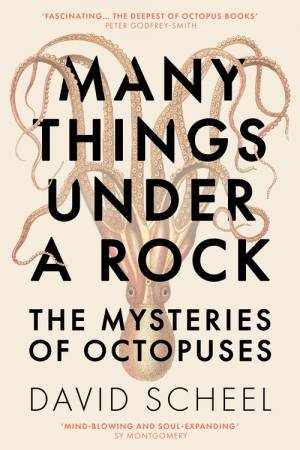 Many Things Under a Rock by David Scheel