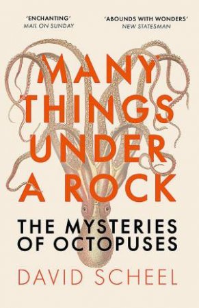 Many Things Under a Rock by David Scheel