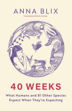 40 Weeks by Anna Blix