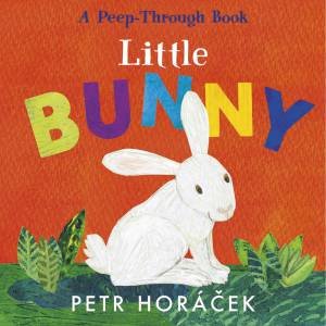 Little Bunny by Petr Horcek & Petr Horcek