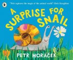 A Surprise for Snail