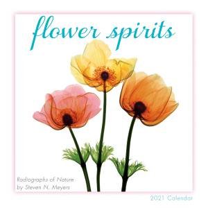 Flower Spirits — Mini Calendar 2021 by Steven N. Meyers