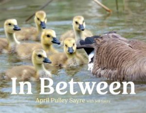 In Between by April Pulley Sayre & April Pulley Sayre & Jeff Sayre