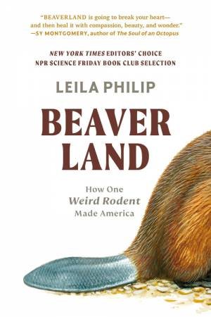 Beaverland by Leila Philip
