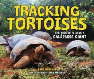 Tracking Tortoises by Kate Messner & Jake Messner