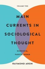Main Currents in Sociological Thought Volume Two
