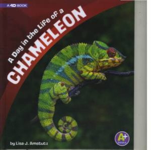 A Day in the Life: A Day in the Life of a Chameleon: A 4D Book by Lisa J. Amstutz & Lisa J. Amstutz