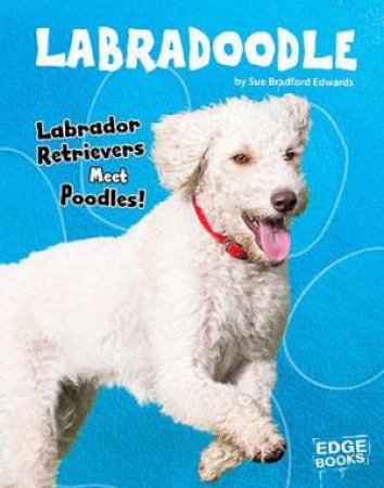 Top Hybrid Dogs: Labradoodle by Sue Bradford Edwards