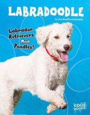 Top Hybrid Dogs Labradoodle