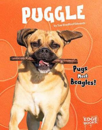 Top Hybrid Dogs: Puggle by Sue Bradford Edwards