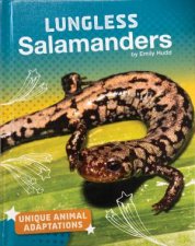 Unique Animal Adaptations Lungless Salamanders