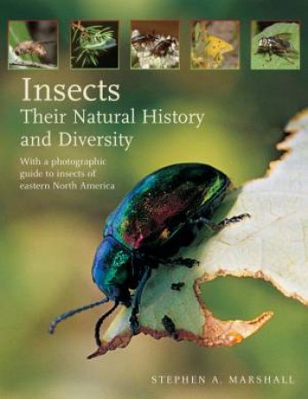 Insects: Their Natural History and Diversity by MARSHALL STEPHEN