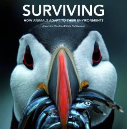 Surviving: How Animals Adapt to Their Environments by MANNUCCI MARIA & MINELLI ALESSANDRO