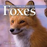 Exploring the World of Foxes