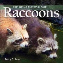Exploring the World of Raccoons