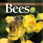 Exploring the World of Bees