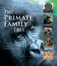 The Primate Family Tree The Amazing Diversity Of Our Closest Relatives