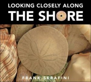 Looking Closely along the Shore by FRANK SERAFINI