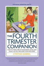 The Fourth Trimester Companion