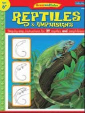 Learn to Draw Reptiles  Amphibians
