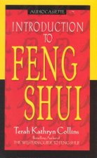 Introduction To Feng Shui  Cassette