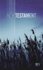 NIV Outreach New Testament