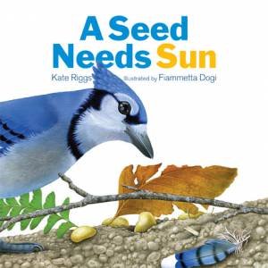 A Seed Needs Sun by Kate Riggs & Fiammetta Dogi
