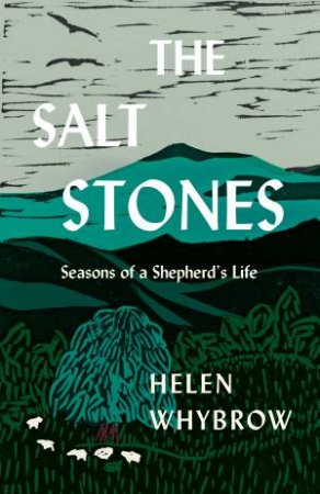 The Salt Stones by Helen Whybrow