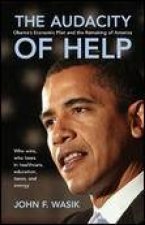 Audacity Of Help Obamas Stimulus Plan And The Remaking Of America