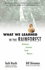 What We Learned In The Rainforest Business Lessons From Nature