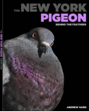 The New York Pigeon