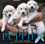 The Dogist Puppies