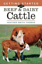 Getting Started with Beef and Dairy Cattle