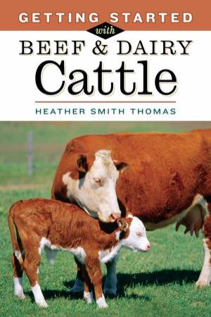 Getting Started with Beef and Dairy Cattle by HEATHER SMITH THOMAS