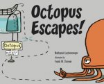 Octopus Escapes