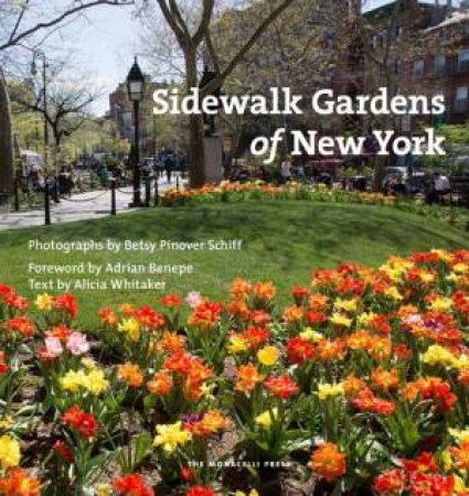 Sidewalk Gardens Of New York by Alicia Whittaker