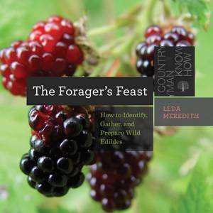 The Forager's Feast by Leda Meredith