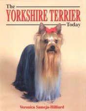 The Yorkshire Terrier Today