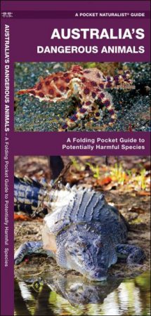 Australia's Dangerous Animals: A Folding Pocket Guide To Potentially Harmful Species by James Kavanagh