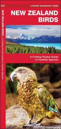 New Zealand Birds: A Folding Pocket Guide To Familiar Animals by James Kavanagh