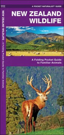 New Zealand Wildlife: A Folding Pocket Guide To Familiar Animals by James Kavanagh
